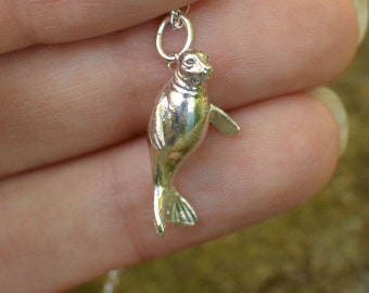 Ciondolo e catena con sigillo in oro/argento fatti a mano