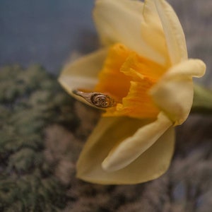 Pu&ograve; includere: Un delicato anello d'oro con un design a spirale riposa all'interno della tromba gialla di un narciso bianco.