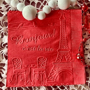 Parisian Embossed Cocktail Napkins - She Said Oui Bridal Shower - French Themed Party - Ooh La La Wedding - Paris Baby Shower Ideas image 10