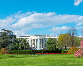 Fotografía digital de la residencia presidencial de la Casa Blanca con vista al jardín de rosas