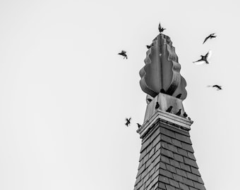 Lista de espera de aves y fotografía digital de campanario