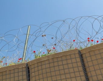 Fotografía digital de flores silvestres de Hesco en Afganistán