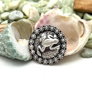 May include: A round, silver-toned pendant featuring a detailed frog design in the center, surrounded by a dotted border. The pendant is set against a backdrop of seashells and small, light green pebbles.