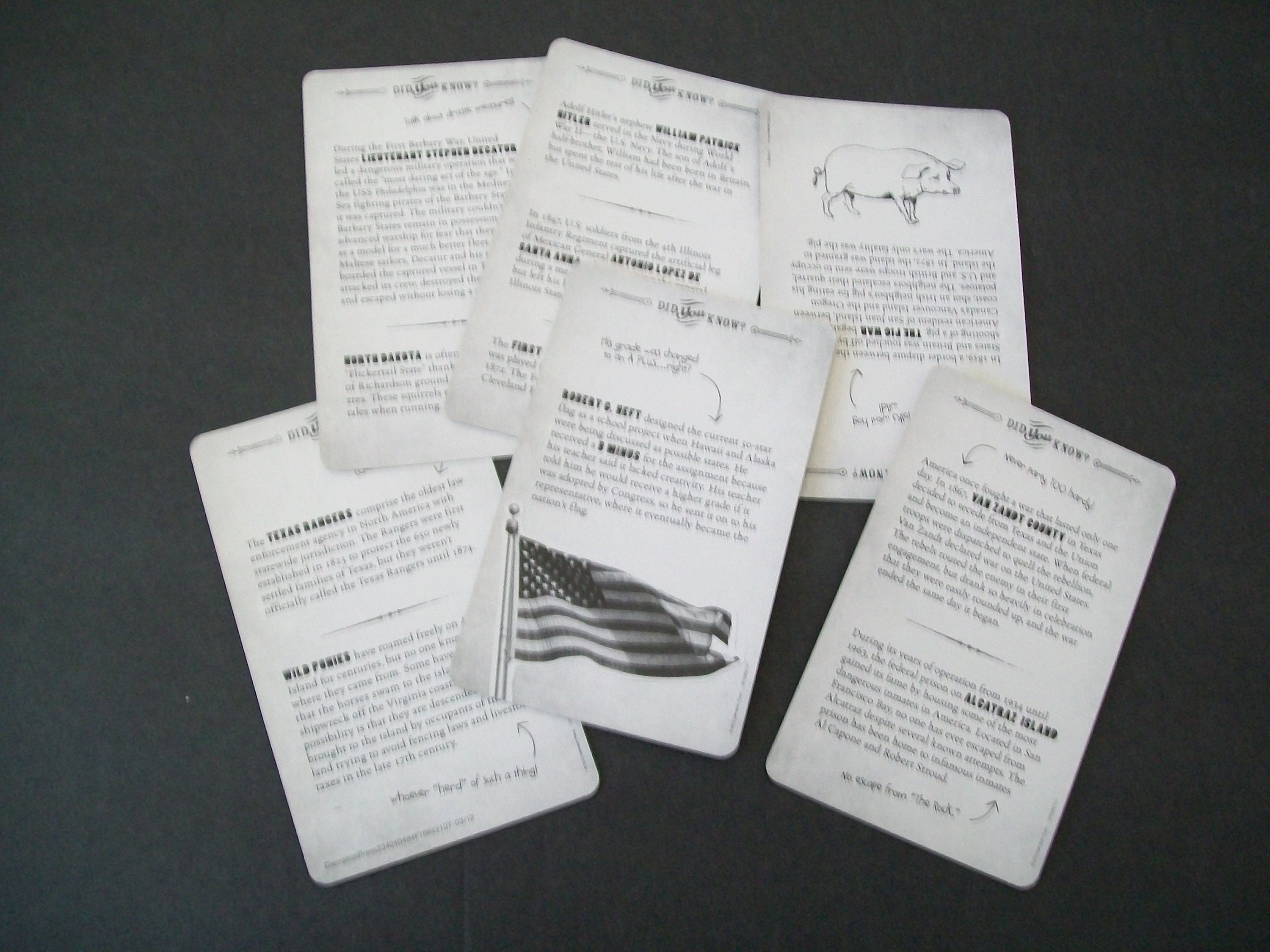 History Flash Card Example Did You Know Flash Cards, History Flash Cards, Junk Journal Supplies ...