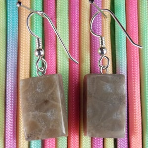 EP#213  Petoskey Stone dangle earring with sterling silver lever back hooks.