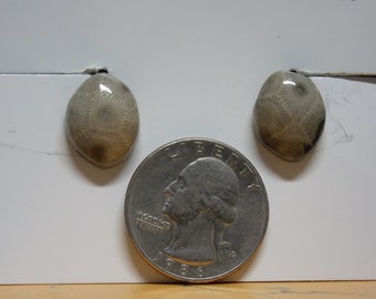 EP#264 Petoskey Stone Clip on earrings.