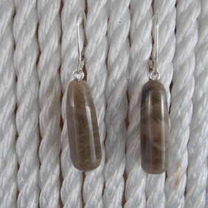 EP#154 Petoskey Stone dangle earring with sterling silver lever back hooks.