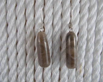 EP#154 Petoskey Stone dangle earring with sterling silver lever back hooks.