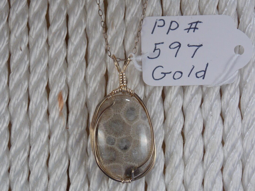 PP#597 Gold Plated Petoskey Stone Wire Wrapped With 14k Gold Plated ...