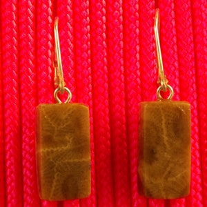 EP#234  Petoskey Stone dangle earring with sterling silver lever back hooks.