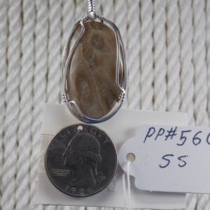 PP#560 SS Petoskey stone wire wrapped with solid sterling silver.