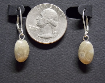 EP#267 Petoskey Stone dangle earring with sterling silver lever back hooks.