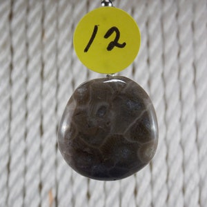 LPC 12  Petoskey Stone Fan Pull with silver colored  bead chain with connector