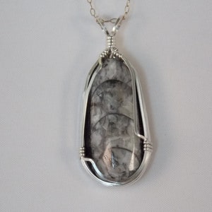 PO#484SS Orthoceras Fossil wire wrapped with solid sterling silver.