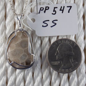 PP#547 Petoskey stone  wire wrapped with solid sterling silver.
