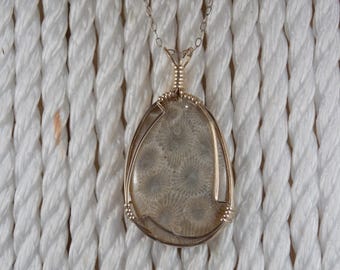 PP#588   Petoskey stone wire wrapped with 14k gold plated wire.