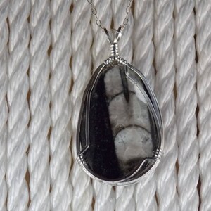 PO#468SS Orthoceras Fossil wire wrapped with solid sterling silver.