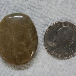 Refrigerator Magnet Petoskey Stone RMP #3