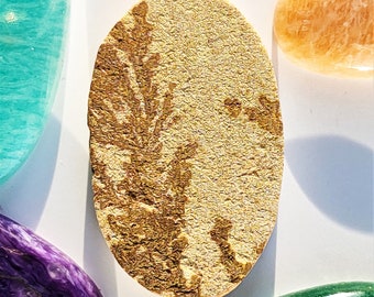 Dendrite psilomélane 35 x 21 mm Pierre gemme ovale Réf : PMD0007