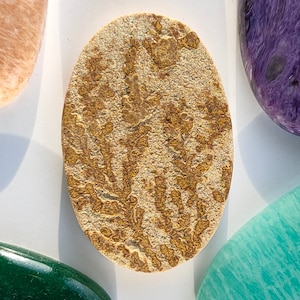 Psilomelane Dendrite 39x25mm Oval Gemstone Ref: PMD0009