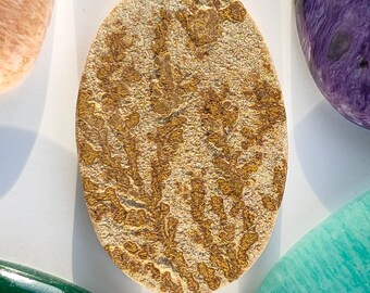 Psilomélane dendrite 39 x 25 mm Pierre gemme ovale Réf : PMD0009