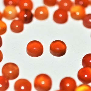 Carnelian 5mm Round Cabochon Pair Ref:50181