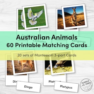 60 Australian Animal Matching Flash Cards - Montessori 3 Parts Cards Matches Safari TOOB Figures - Printable Instant Download