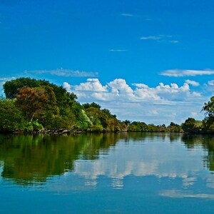 May include: A serene landscape featuring a calm body of water reflecting a bright blue sky dotted with fluffy white clouds. Lush green trees and foliage line the water's edge, creating a natural, tranquil scene. The image captures a sense of peace and natural beauty.
