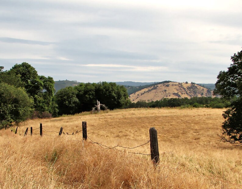 Weary Sentry Historic Farm Fall Field Wakamatsu Farm, Placerville