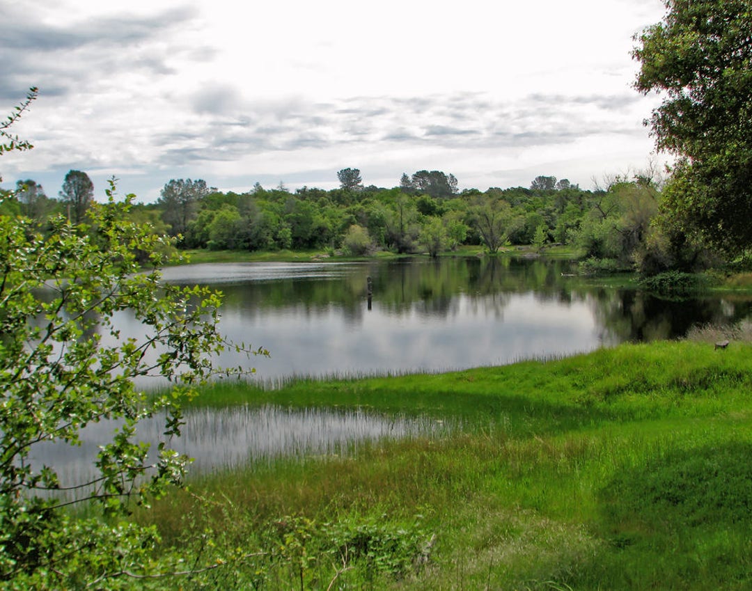 Life of the Farm Historic Farm Wakamatsu Placerville Large Pond Source