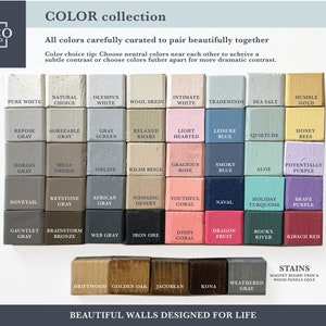 Puede incluir: Una carta de colores con 48 muestras de pintura, cada una con un nombre. Los colores est&aacute;n dispuestos en filas y columnas, y los nombres est&aacute;n impresos debajo de cada muestra. La carta se titula "COLOR collection" e incluye el texto "Todos los colores cuidadosamente seleccionados para combinar a la perfecci&oacute;n".