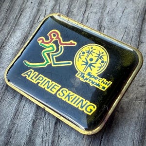 May include: A rectangular pin with a gold-toned metal border and a glossy black surface. It features a stylized yellow, red, and green graphic of an alpine skier, the yellow Special Olympics logo, and the yellow text ALPINE SKIING.