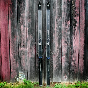 May include: Two black Hart Camara skis are propped against a weathered wooden fence. The skis have white and blue accents, with bindings and the text "Hart" visible. The fence is made of vertical planks, painted in shades of red, gray, and black.