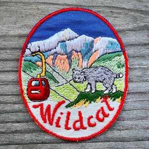 Early 1960's WILDCAT Ski Patch Gorham New Hampshire Pinkham Notch Skiing Vintage Mt Washington Antique Badge Pin