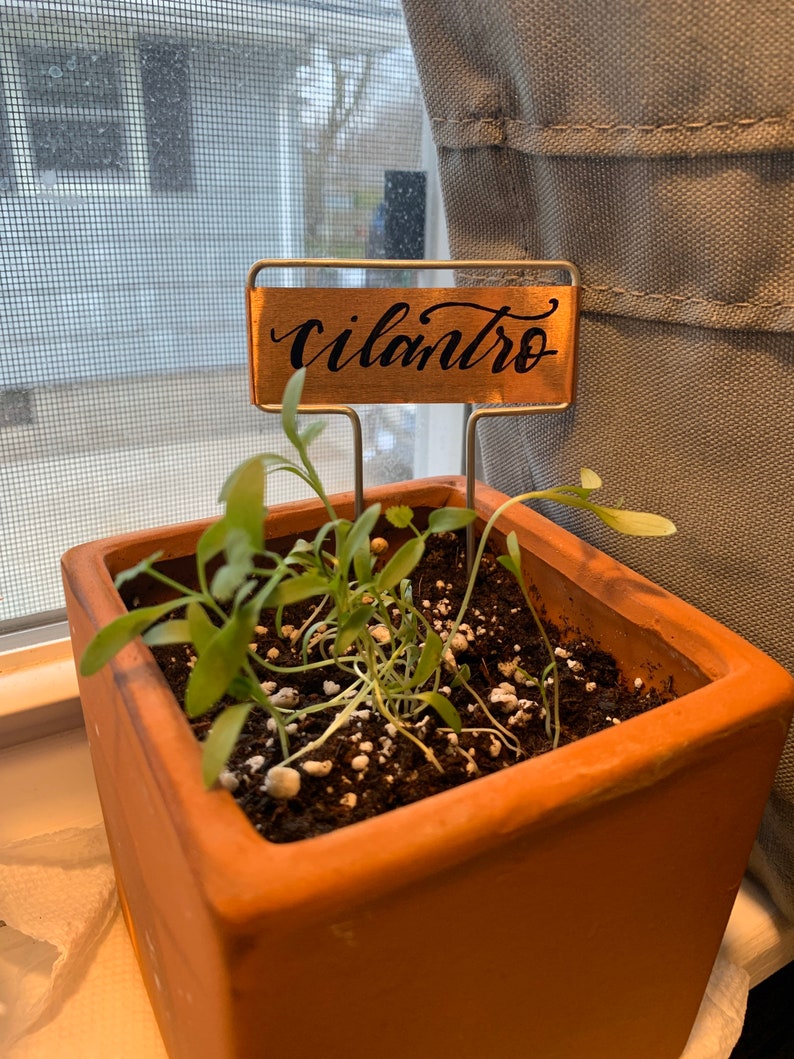 Personalized Handwritten Metal Garden Stakes Markers Labels Etsy