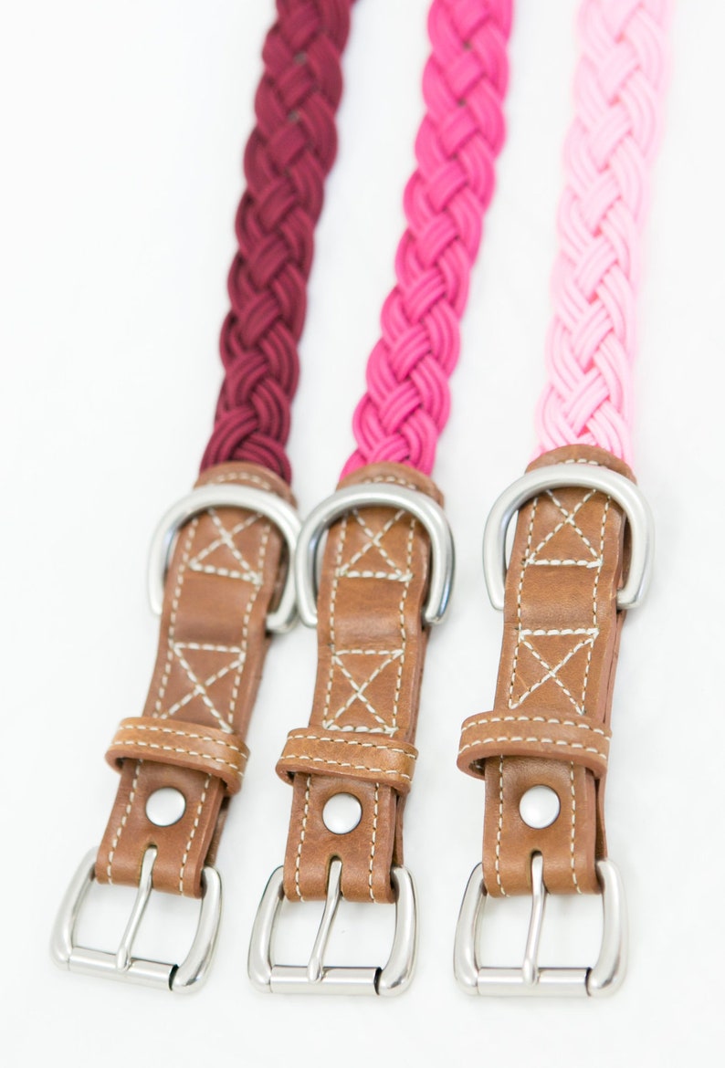 Genuine Leather Braided Dog Collar, Stylish Paracord Dog Collar, Soft