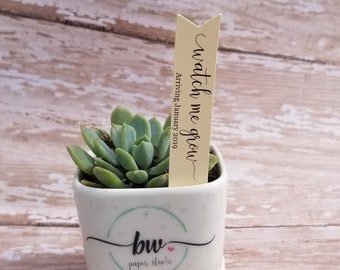 Watch me grow Succulent Stake, Succulent Stake,  Baby Shower Favor Plant Tag, Flag Tag, Plant Stake, Baby Shower, Favor, Baby Sprinkle (S12)