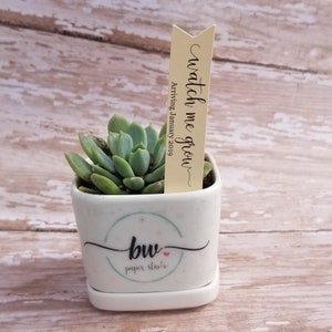 Watch me grow Succulent Stake, Succulent Stake,  Baby Shower Favor Plant Tag, Flag Tag, Plant Stake, Baby Shower, Favor, Baby Sprinkle (S12)