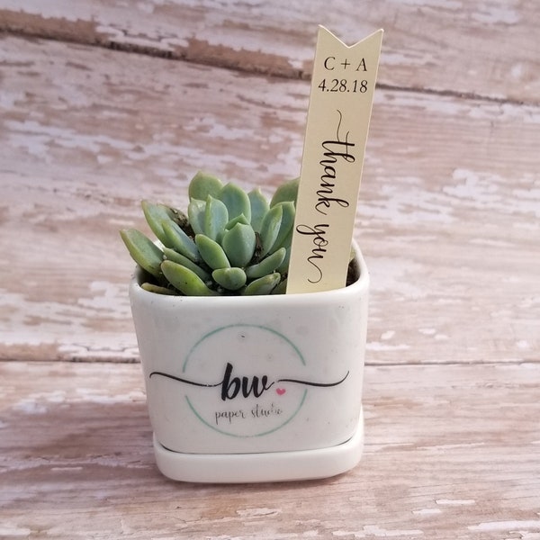 Thank You Succulent Stake, Succulent Stake, Wedding Favor Plant Tag, Flag Tag, Plant Stake, Wedding Favor, Baby Shower, Plant (S08)
