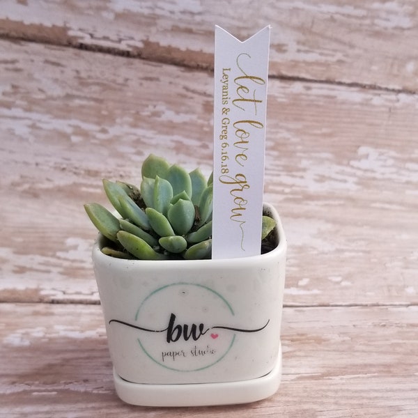 Let Love Grow Succulent Stake, Succulent Stake, Wedding Favor Plant Tag, Flag Tag, Plant Stake, Wedding Favor, Baby Shower, Plant (S13)