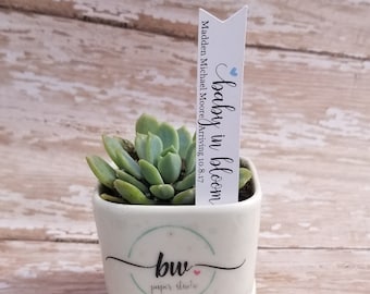 Baby in Bloom Succulent Stake, Succulent Stake, Baby Shower Favor Plant Tag, Flag Tag, Plant Stake, Baby Sprinkle, Baby Shower, Plant (S14)