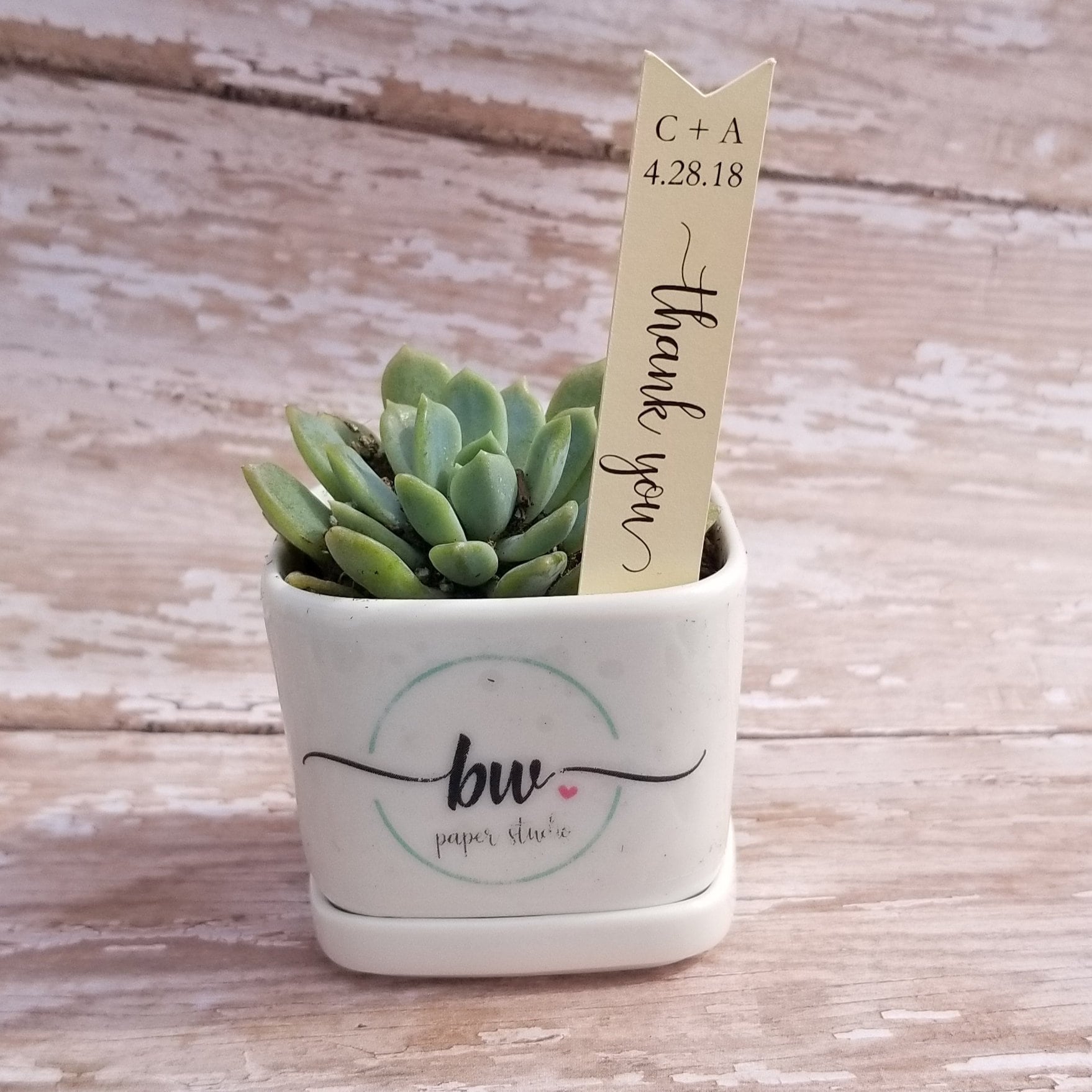 Estaca suculenta de agradecimento, estaca suculenta, etiqueta de planta para lembrança de casamento, etiqueta de bandeira, estaca de planta, lembrança de casamento, chá de bebê, planta (S08)