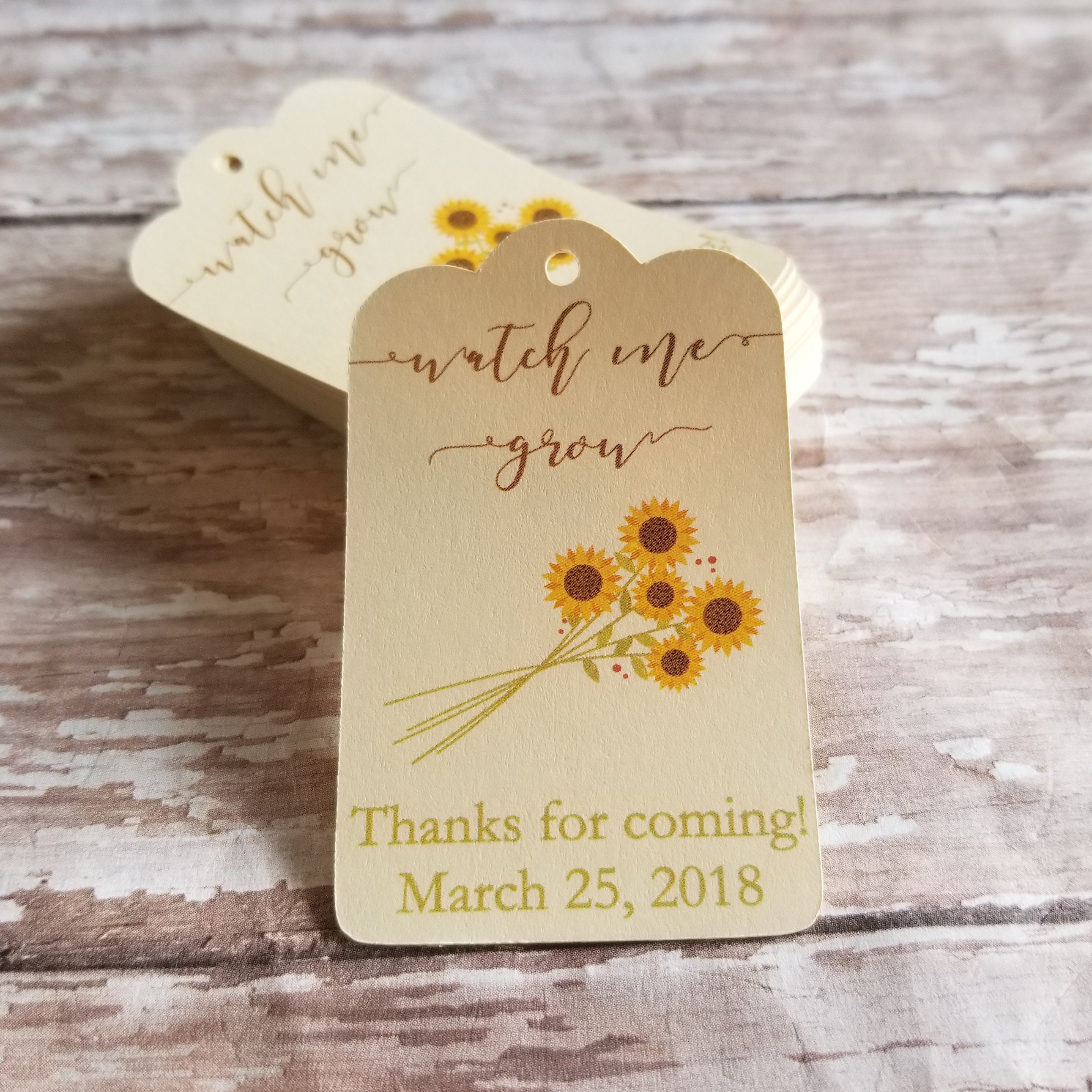 Sunflower baby store grow