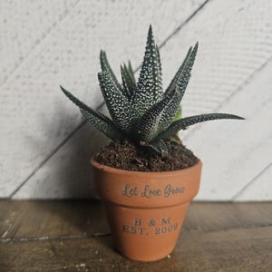 Mini Succulent Planter, Succulent Pot Party Favor, Cute Plant Pot Favor, Terracotta Planter, Wedding Favor, Baby Shower, Engraved, Custom