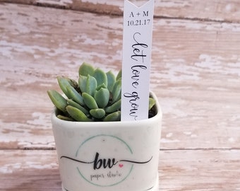 Let Love Grow Succulent Stake, Succulent Stake, Wedding Favor Plant Tag, Flag Tag, Plant Stake, Wedding Favor, Baby Shower, Plant (S09)