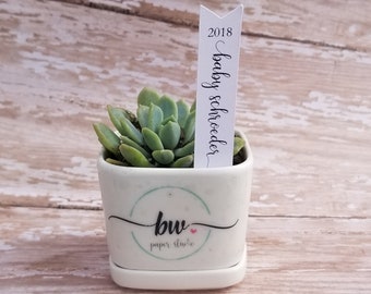 Succulent Stake, Succulent Stake,  Baby Shower Favor Plant Tag, Flag Tag, Plant Stake, Baby Shower, Favor, Baby Sprinkle, Plant (S11)