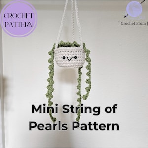 PATTERN: Crochet Mini String of Pearls Hanging Plant