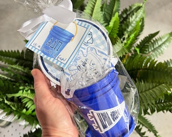 Alpha Delta Pi Bucket of Fun Gift Set, ADPi Big Little Gift, Sorority Sister Gift, ADPi Ornament, Stickers & Button, Sorority Gift Basket
