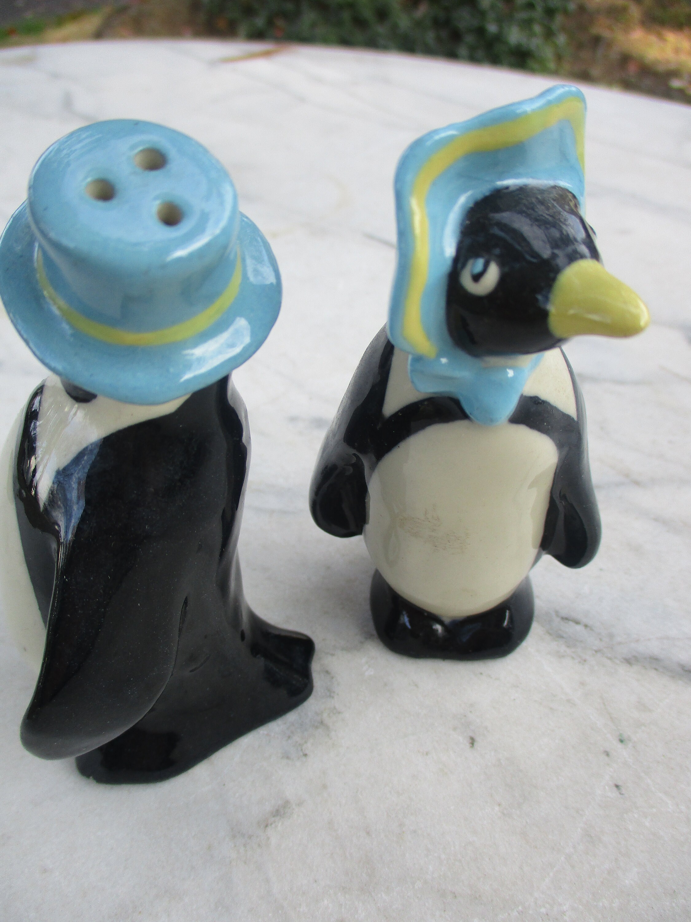 Ceramica Saliera e pepiera regalo a Forma di Pinguini con vassio 