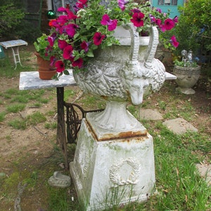 May include: A large, weathered, white concrete planter with a ram's head design, filled with vibrant magenta petunias. The planter sits atop a square pedestal with a laurel wreath design. A smaller terracotta pot with flowers sits on a marble-topped table.